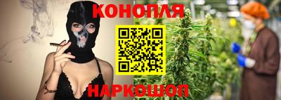 шишки Коммунар