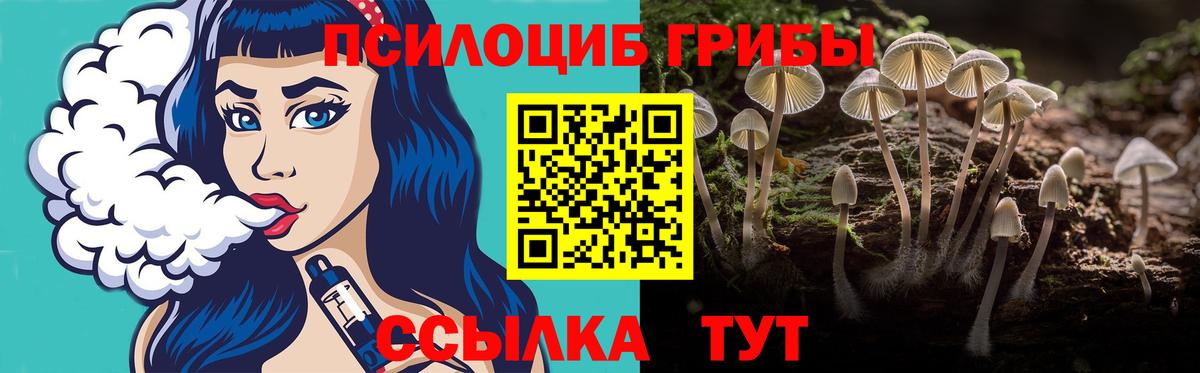 Псилоцибиновые грибы прущие грибы Кимры